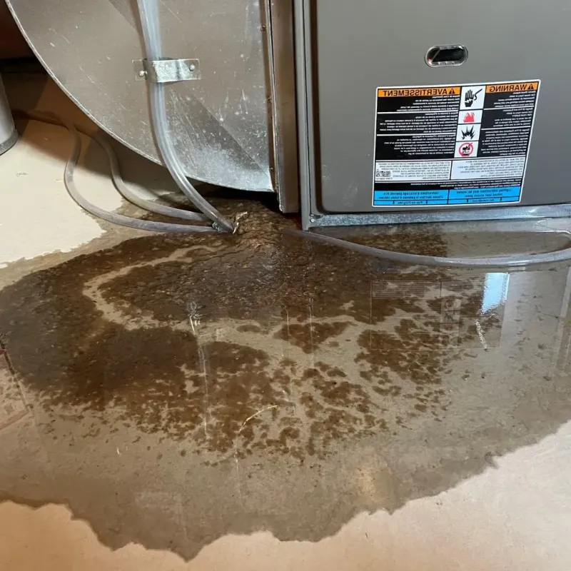Pipe Burst and Leak Restoration in Christian County, KY