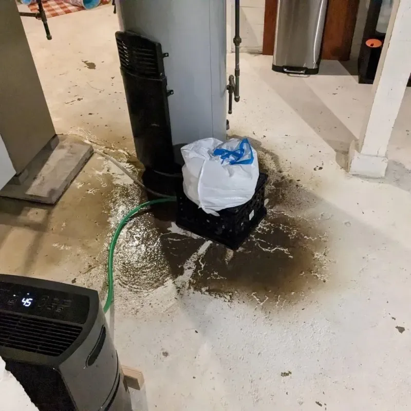 Sewage Backup Cleanup Service in Christian County, KY